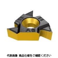 イスカル TAチップ 16ERAG55IC1007 1セット(5個)（直送品）