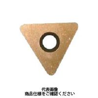 日本高周波鋼業 高周波 プレナチップ PL60607 1個 815-8850（直送品）