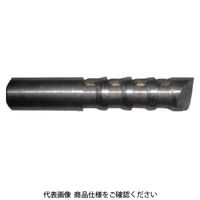 サンコーテクノ サンコー テクノ イーグルアンカーEGタイプ ステンレス製 ミリねじ SEG-12S 1本 558-7891（直送品）