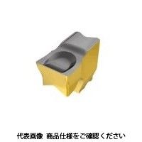 イスカル タンググリップIQ チップ