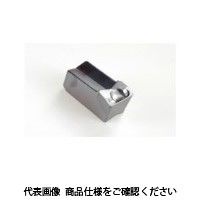 イスカル TAチップ GSFN6IC20(6001383 GSFN6IC20 1セット(10個)（直送品）