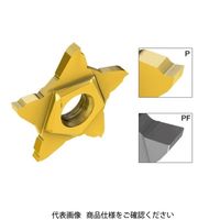 イスカル TAチップ PENTA24N185