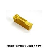 イスカル TAチップ HFPL5025IC808 1セット(10個)（直送品）