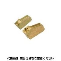 イスカル TAチップ GSFN4.8JIC328(6002478 GSFN4.8JIC328 1セット(10個)（直送品）