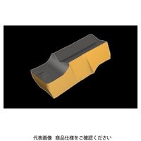 イスカル TAチップ GIPI5.00Eー0.50IC8250(6405231 GIPI5.00E-0.50IC8250 1セット(20個)（直送品）