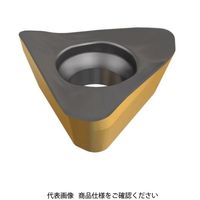 イスカル TAチップ HM390TPCT1003PDRIC830 1セット(10個)（直送品）