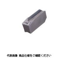 イスカル TAチップ GIMN406IC1054 1セット(10個)（直送品）