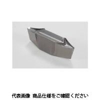 イスカル TAチップ GIPA8ー35Vー1.20IC20(6402004 GIPA8-35V-1.20IC20 1セット(20個)（直送品）