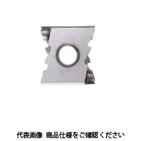 イスカル TAチップ LNMT1506PNーRTSIC4050 1セット(10個)（直送品）