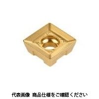 イスカル TAチップ QPMT100408PDTNーMIC830 1セット(10個)（直送品）