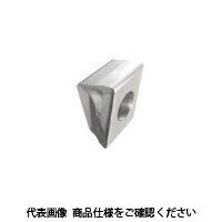 TAチップ T490LNAR1306PNーRーPIC07(5606389 T490LNAR1306PN-R-PIC07 1セット(10個)（直送品）