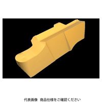 イスカル TAチップ GIPI2.00ー0.10LXIC830(6405052 GIPI2.00-0.10LXIC830 1セット(20個)（直送品）