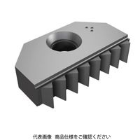 イスカル TAチップ MTLNHU1403E24UN908 1セット(2個)（直送品）