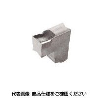 イスカル TAチップ TAGN4AIC20(6004438 TAGN4AIC20 1セット(20個)（直送品）