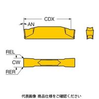 サンドビック TAコロカットチップ N123H2ー0396ー0004ーGF1005 1セット(10個)（直送品）
