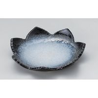アースモス 美濃焼 変形皿（中） 雲海葉型6.0皿 (2個入)（直送品）