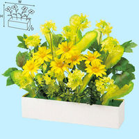 アルファ 菜の花アレンジプランター TE1-1305（直送品）