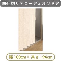 【間仕切り】アコーディオンドア 幅100cm×高194cm 4975559553306 1セット トーソー（直送品）