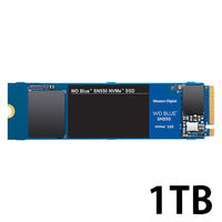 ウエスタンデジタル 内蔵タイプSSD Blue SN550 NVMe SSD SSD/M.2  1TB WDS100T2B0C 1台