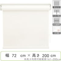 ロールスクリーン 幅165cm 高さ100cm 2台 幅1cm単位】プロ仕様「遮光」ロールスクリーン幅165cm×高10