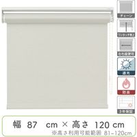 【幅1cm単位】プロ仕様「遮光」ロールスクリーン幅87cm×高81～120cm＜チェーン式＞ tr4512-87x120-r90 トーソー（直送品）