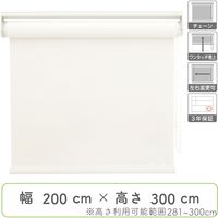 【幅1cm単位】プロ仕様ロールスクリーン幅200cm×高281～300cm＜チェーン式＞ tr4441-200x300-r200 トーソー（直送品）