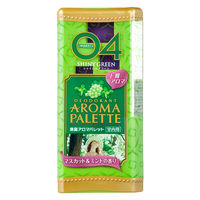 【アウトレット】消臭アロマパレット　シャイニーグリーン 1セット(2個：1個×2)