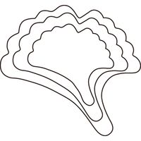 たかもり たかもりの野菜抜 銀杏