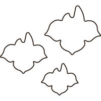 たかもり たかもりの生抜 あやめ 大 #3 078095（直送品）