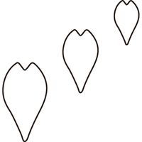 たかもり たかもりの生抜 桜の花びら