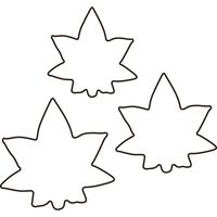 たかもり たかもりの生抜 紅葉 大 #3 078080（直送品）