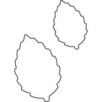 たかもり たかもりの生抜 木の葉