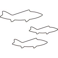 たかもり たかもりの生抜 鮎 中 #2 077120（直送品）