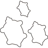 たかもり たかもりの生抜 亀 大 #3 078071（直送品）