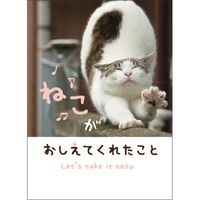 学研ステイフル メッセージブック（ねこ） E10060 3冊（直送品）