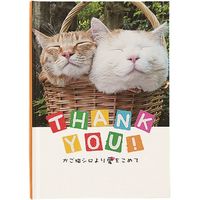 学研ステイフル かご猫 メッセージブック（サンキューカード ）（二匹） E10050 3冊（直送品）