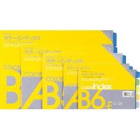 ライオン事務器 カラーインデックス CIー22 13683 1セット(3冊)