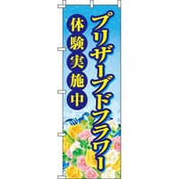 イタミアート プリザーブドフラワー体験 青 のぼり 0240028IN（直送品）