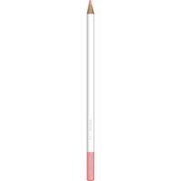 トンボ鉛筆 色鉛筆 色辞典 単色 P03 桜貝 CI-RP3 6本（直送品）