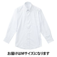 【アウトレット】紳士ボタンダウンビジネスシャツ（白大ストライプ）イージーケア LOST-002 AWJ