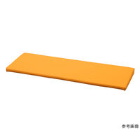 水上 スクエア 入り口スロープマット 水色 KS-D300-EM900-MP-27 1個 63-1247-41（直送品）