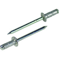 ロブテックス ＡＰリベット（アルミニウム／スティール製）　4ー3（70本入）　エコパック AP43MP 1パック