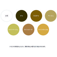 s쏊 ^`J tBjbVlC 30mm Cgx[W (3000{) F30LY 1(3000{) 152-2551iij