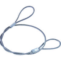トラスコ中山 TRUSCO メッキ付ワイヤロープ PVC被覆タイプ Φ2(3