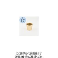 D&M DEPOT ラージオーキッドポット ゴールド D17 AAB1104MGO 955530 1セット(2個)（直送品）