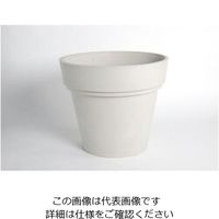 D&M DEPOT サプライズボーダーポット D65ホワイト 955273 1個（直送品）