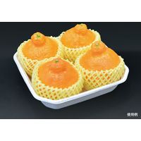 パックスタイル WB麦バガス フルーツトレー4M 617868 600枚（50×12）（直送品）