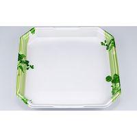 精肉トレー L-カク5 クレソン 0515105002710 300枚（50×6） シーピー化成（直送品）