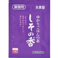 「業務用」 丸美屋フーズ しその香 250g 1セット（250g×10個入り）（直送品）