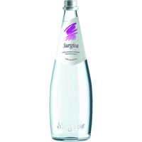 日欧商事 スルジーヴァ　スルジーヴァ・ミネラルウォーター（スパークリング）　500ml 125906 1セット（500ml×20本）